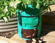 Image result for Organic Potato Bag