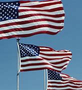 Image result for America First Flag Black