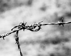 Image result for Barbed Wire Black and White