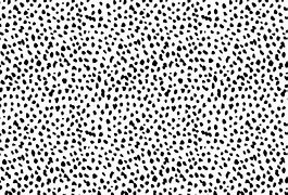 Image result for Cheetah Print Wall