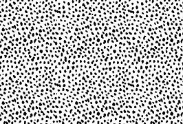 Image result for Leopard Print Theme Background