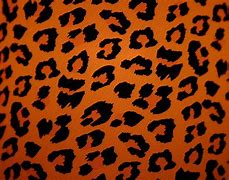 Image result for Leopard Skin Wallpaper