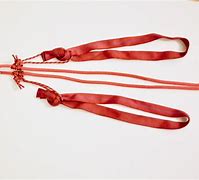 Image result for Sling Clip