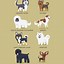 Image result for Dog Breed Posters