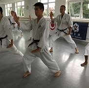 Image result for Goju Ryu Karate Techniques