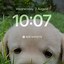 Image result for iPhone Home Screens September PNG