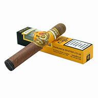 Image result for Disposable E Cigars
