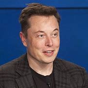 Image result for Elon Musk Wikipedia