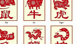 Image result for Chinese Zodiac 2012 Pic