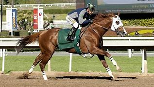 Image result for Derby Horse Racing