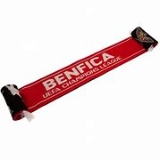 Image result for SL Benfica Scarf