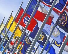 Image result for Current State Flags