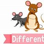 Image result for Difference or Different
