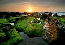 Image result for scenery