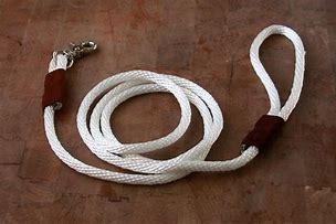 Image result for Rope Leash DIY