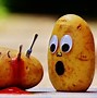 Image result for Funny Apple Puns