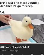 Image result for A Duck Meme