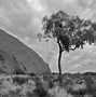Image result for Ayers Rock Formation