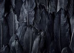 Image result for iPhone Black Feather Wallpaper