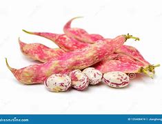 Image result for Bean Pod