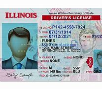 Image result for Illinois Driver's License Number
