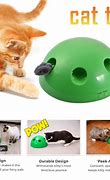 Image result for interactive cat toy