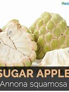 Image result for Sugar Apple Nutrition Facts