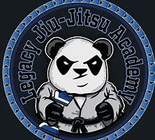 Image result for Academy Jiu Jitsu