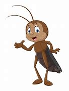 Image result for Cartoon Cricket Bug Images