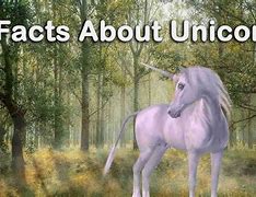 Image result for Real Unicorn Facts