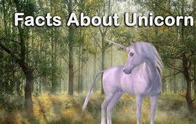 Image result for Unicorn Facts