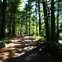 Image result for Mackworth Island State Park Maine