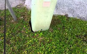 Image result for Comcast Cable Pedestal Box