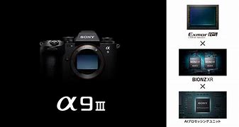 Image result for Sony İlce 9M3 Announced