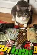 Image result for Thug Life Cat Glass