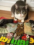 Image result for Thug Life Kitty