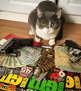 Image result for thugs life cats