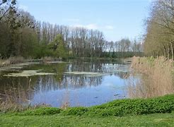 Image result for pithiviers le vieil