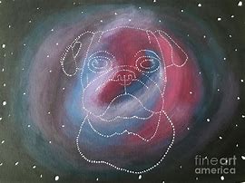 Image result for Galaxy Pug