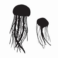 Image result for Jellyfish Silhouette