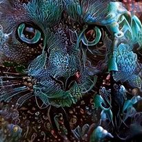 Image result for Trippy Smoking Cat