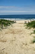 Image result for Netherlands Beach