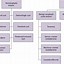 Image result for Complex Adnexal Mass