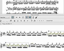 Image result for Xylophone Range