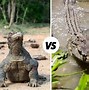 Image result for Crocodile and Komodo Dragon