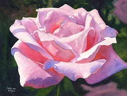 Image result for Pink Rose Watercolor Painting