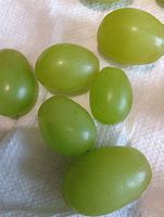 Image result for Black Dots On Grapes