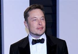 Image result for Elon Musk ESG
