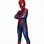 Image result for Amazing Spider-Man Costume