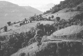 Image result for Too Small Land in Our Bhutan
